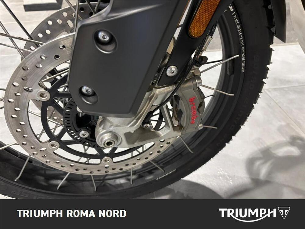 Triumph Tiger 1200 Rally Pro (2024 - 25) (5)