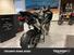 Triumph Tiger 1200 Rally Pro (2024 - 25) (9)