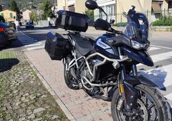 Triumph Tiger 900 GT Pro (2020 - 23) usata