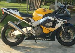 Honda CBR 900 RR Fireblade (2000 - 01) usata