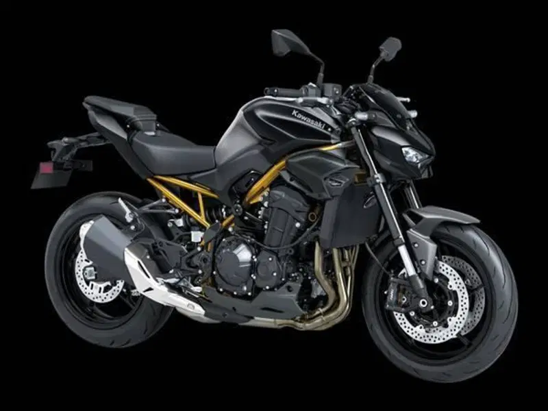 Kawasaki Z 900 (2025 - 26)