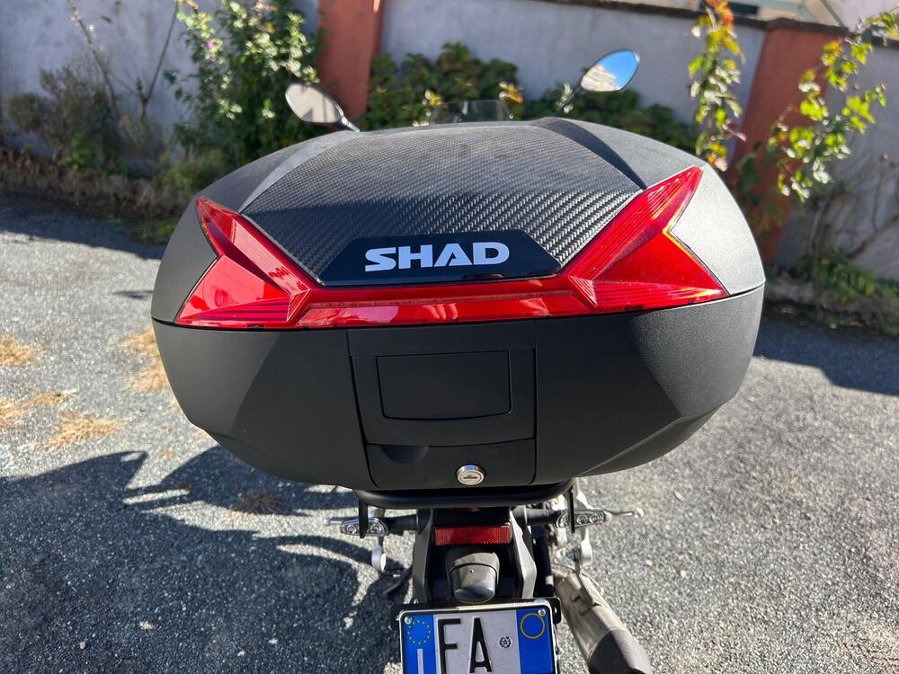 Benelli TRK 251 (2022 - 25) (4)