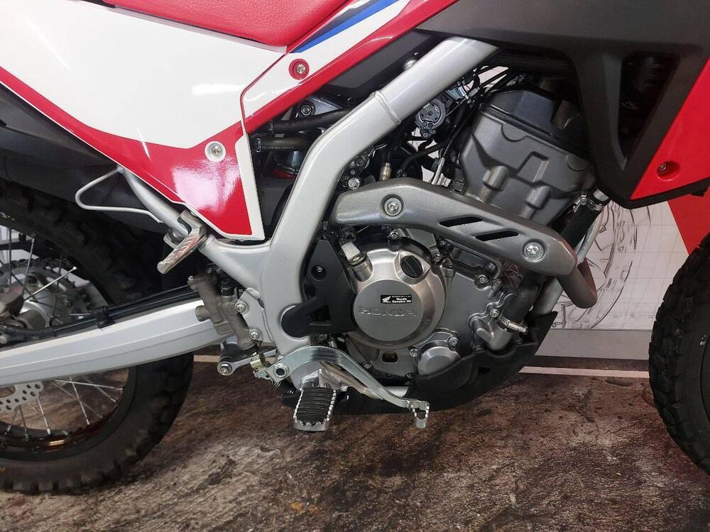 Honda CRF 300 L (2021 - 24) (2)