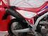 Honda CRF 300 L (2021 - 24) (6)