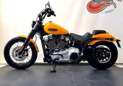Harley-Davidson Street Bob 117 (2025) nuova