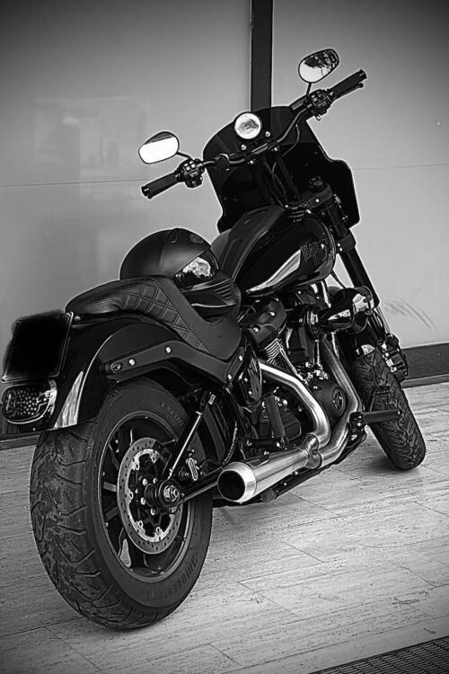 Harley-Davidson Low Rider S (2022 - 24) (2)