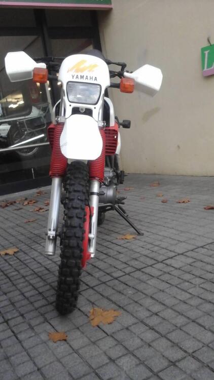 Yamaha XT 600 4V (1986 - 89) (2)