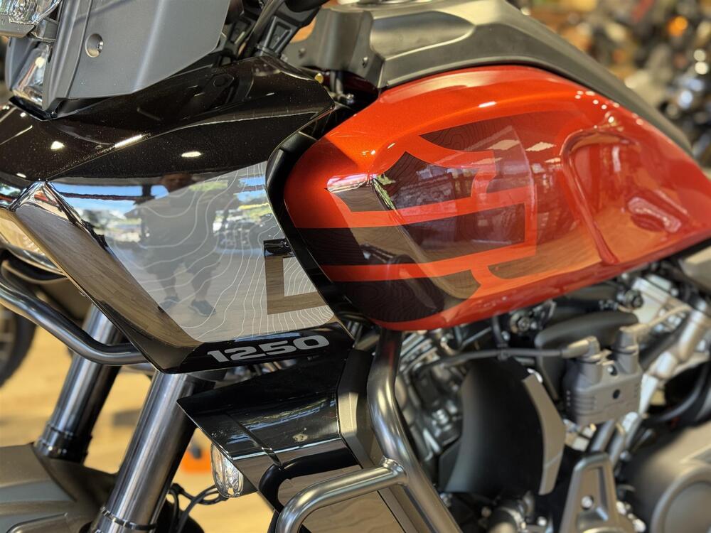 Harley-Davidson Pan America 1250 Special (2020 - 25) (2)