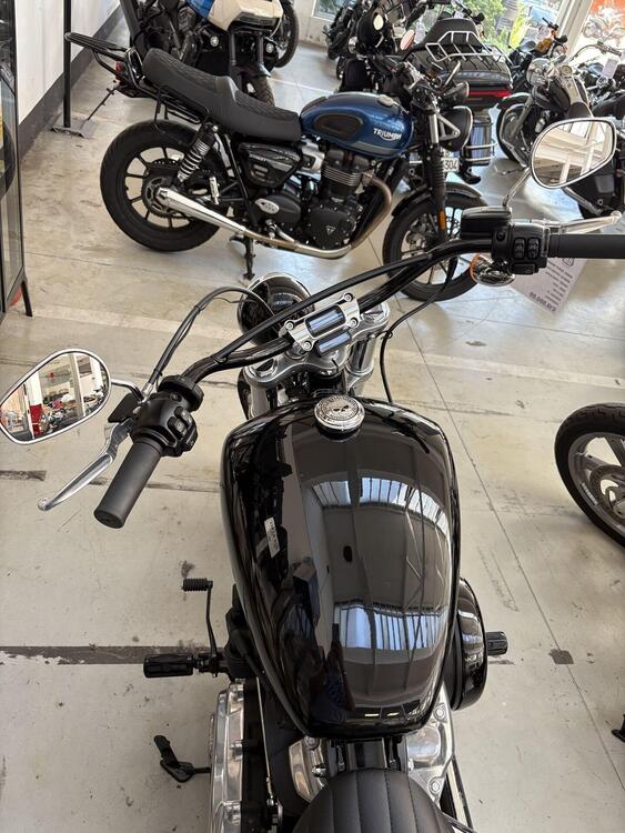 Harley-Davidson Softail Standard (2020) - FXST (4)