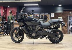 Harley-Davidson Pan America 1250 Special (2020 - 25) usata