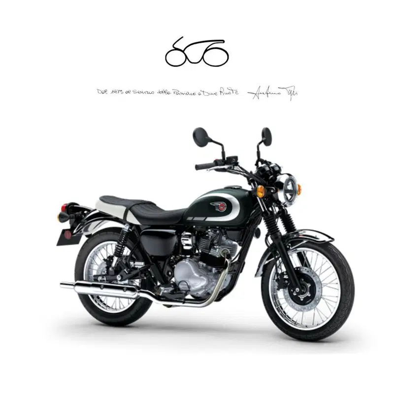 Kawasaki W 230 (2025 - 26)