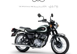Kawasaki W 230 (2025 - 26) nuova