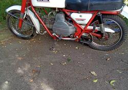 Moto Guzzi Nuovo falcone  d'epoca