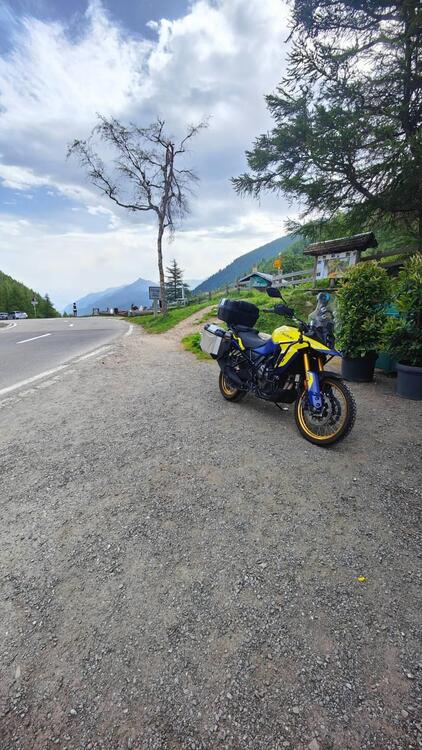 Suzuki V-Strom 800DE (2023 - 24) (4)