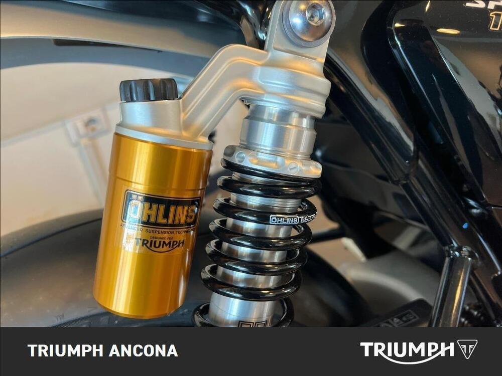 Triumph Speed Twin 1200 RS (2025) (3)