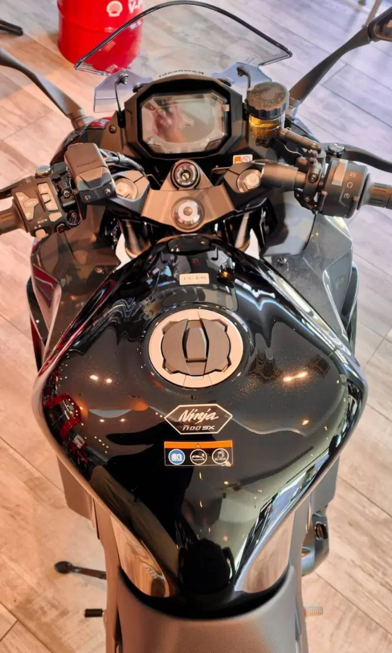 Kawasaki Ninja 1100 SX (2025 - 26) (7)