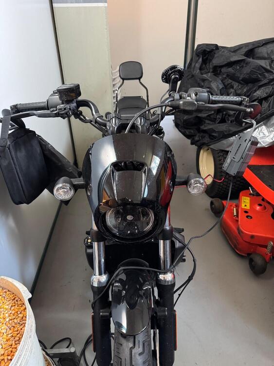 Harley-Davidson Nightster (2023 - 25) (4)