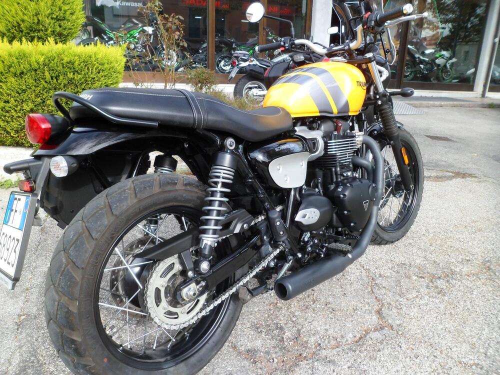 Triumph Scrambler 900 (2023 - 25) (3)
