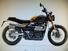 Triumph Scrambler 900 (2023 - 25) (11)
