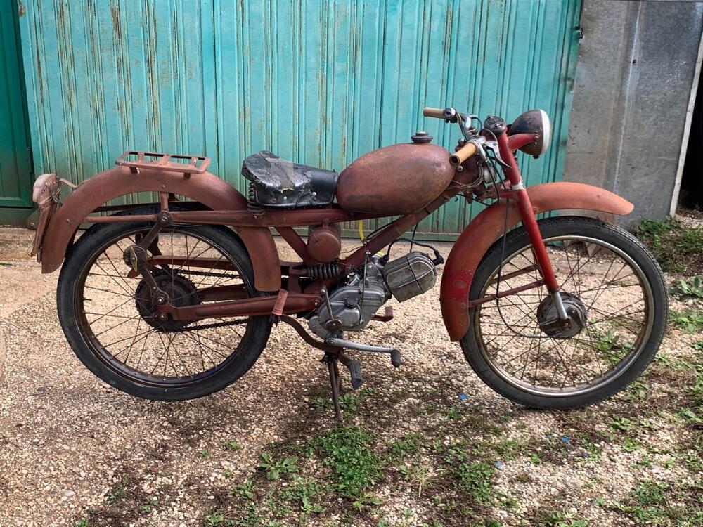 Altre marche Gardellino 73