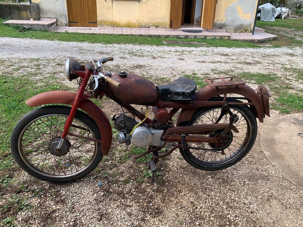 Altre marche Gardellino 73 (2)