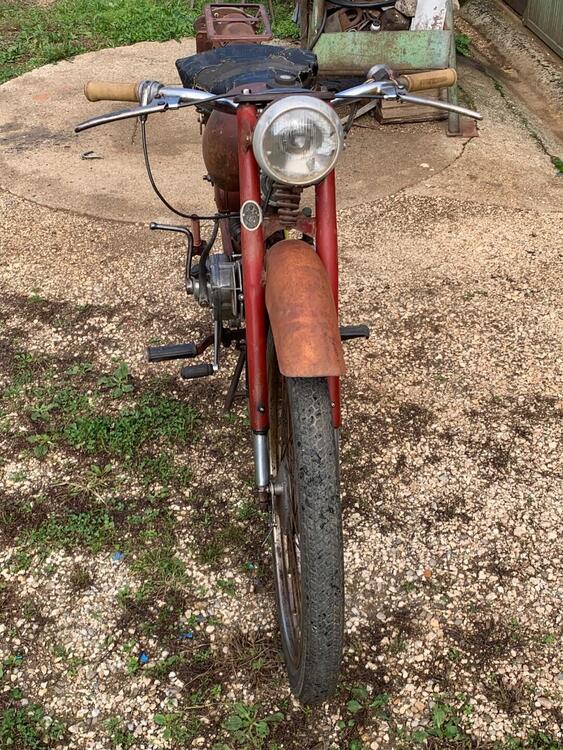 Altre marche Gardellino 73 (3)