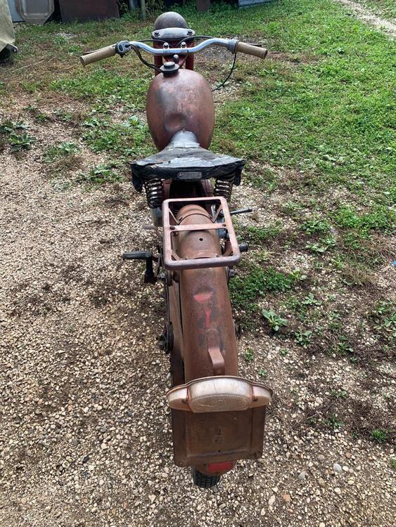 Altre marche Gardellino 73 (4)