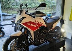 Moto Morini X-Cape 650 (2021 - 25) usata