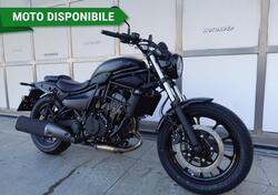 Kawasaki Eliminator 500 (2024 - 26) nuova