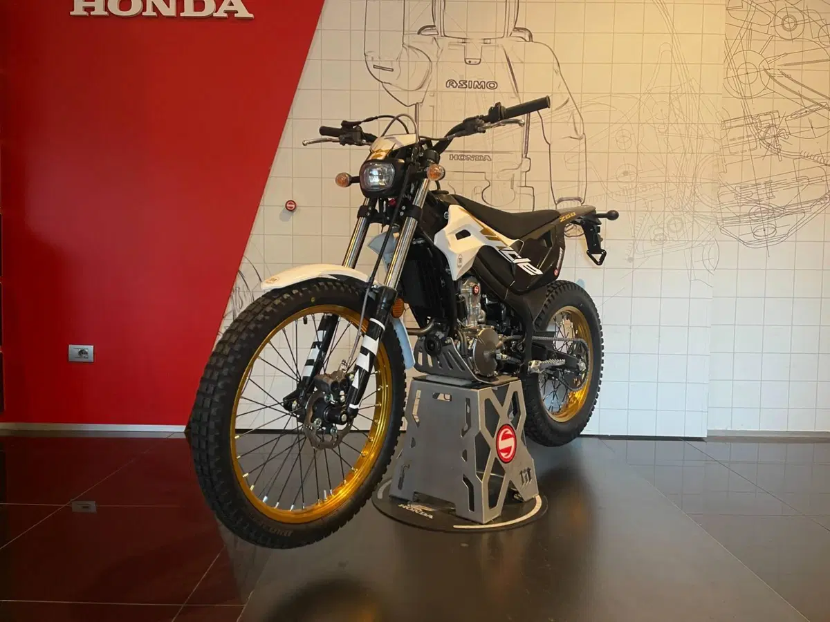 Montesa 4 Ride 260 (2022 - 24) (4)