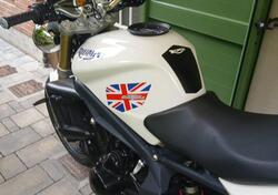 Triumph Street Triple (2007 - 12) usata