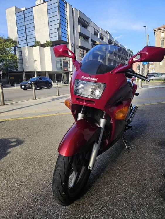 Kawasaki ZZR 250 (1993 - 00) (3)