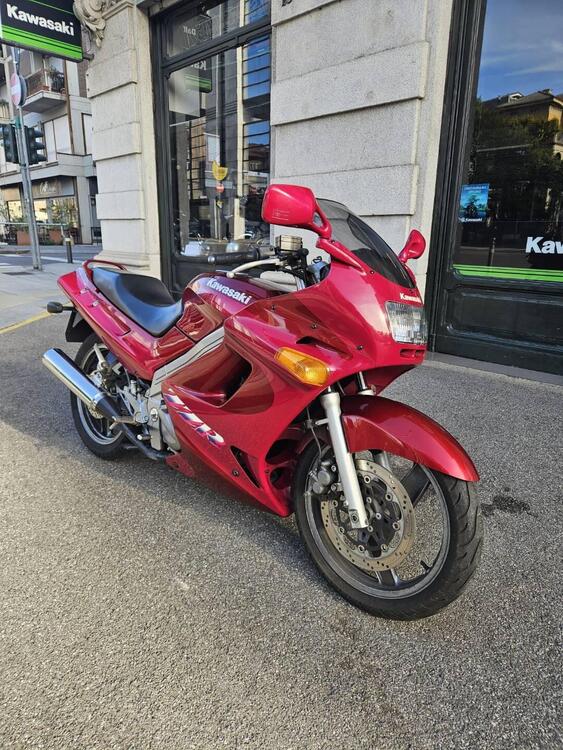 Kawasaki ZZR 250 (1993 - 00) (4)