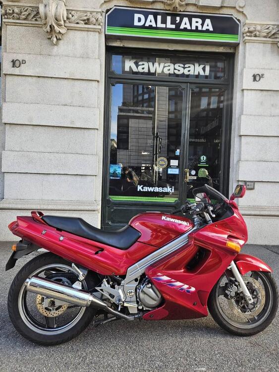 Kawasaki ZZR 250 (1993 - 00) (5)