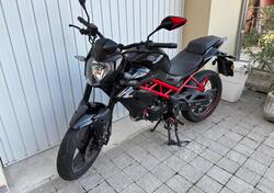 Benelli BN 125 (2021 - 25) usata