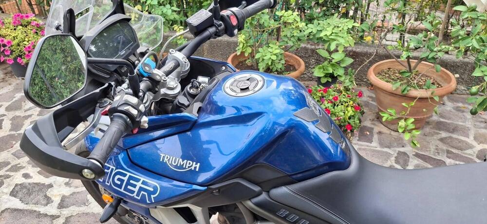 Triumph Tiger 800 XRx (2018 - 20) (2)