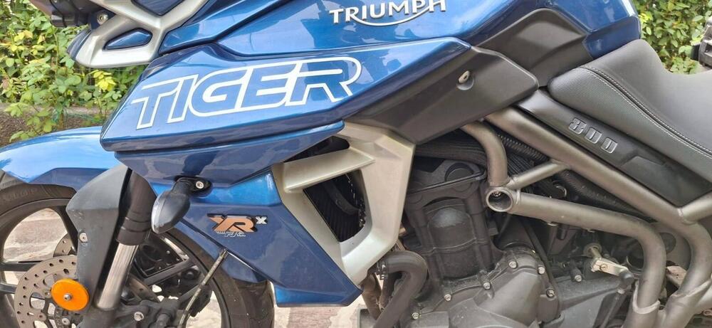 Triumph Tiger 800 XRx (2018 - 20) (3)