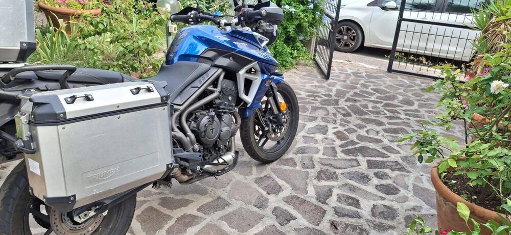 Triumph Tiger 800 XRx (2018 - 20) (5)