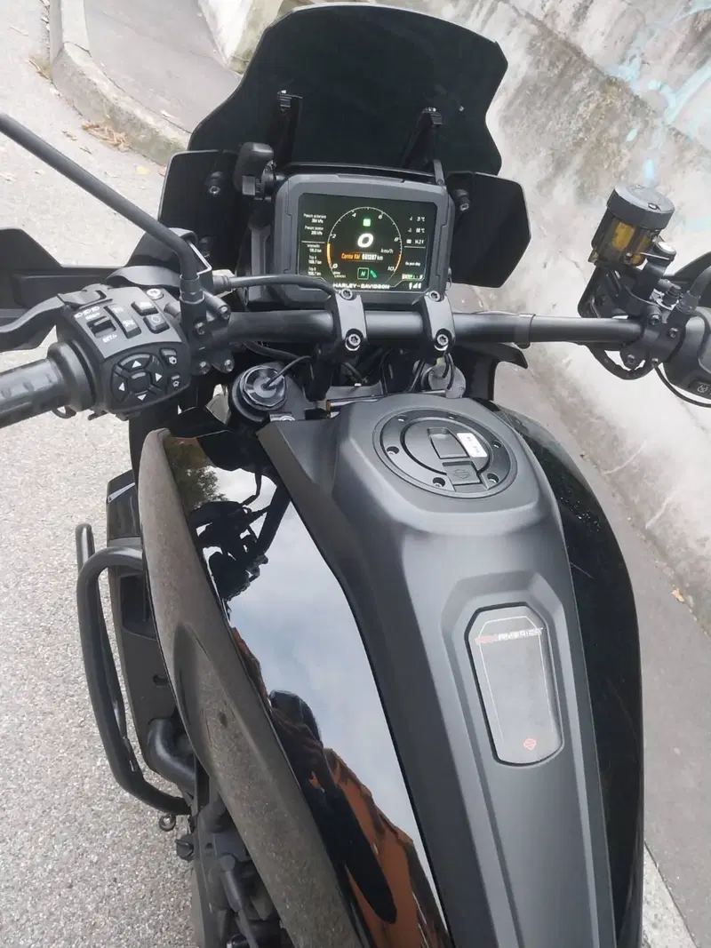 Harley-Davidson Pan America 1250 Special (2020 - 25) (9)