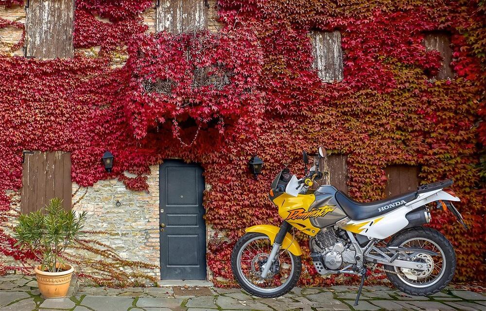 Honda NX 650 Dominator (1996 - 02) (2)