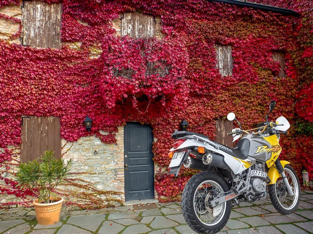 Honda NX 650 Dominator (1996 - 02) (3)