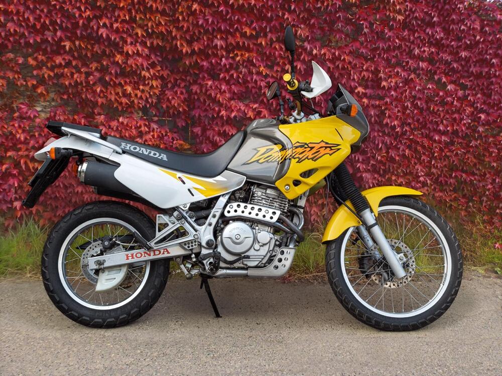 Honda NX 650 Dominator (1996 - 02) (5)