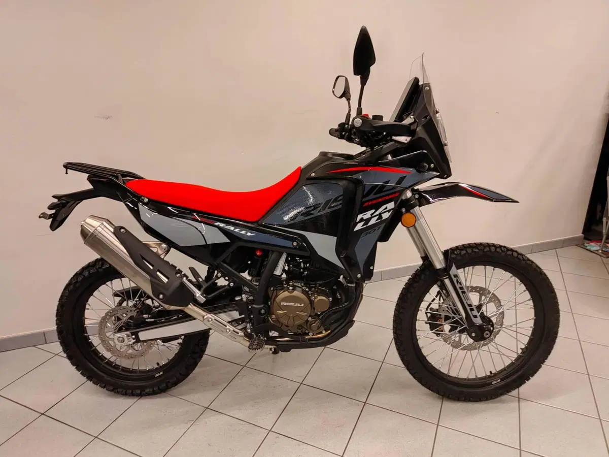 Rieju Aventura Rally 307 (2025 - 26) (15)
