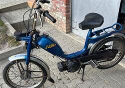 Aspes Sioux  d'epoca