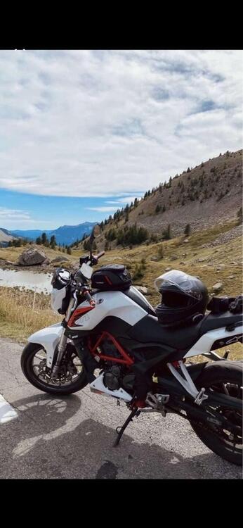 Benelli BN 251 (2017 - 20) (4)