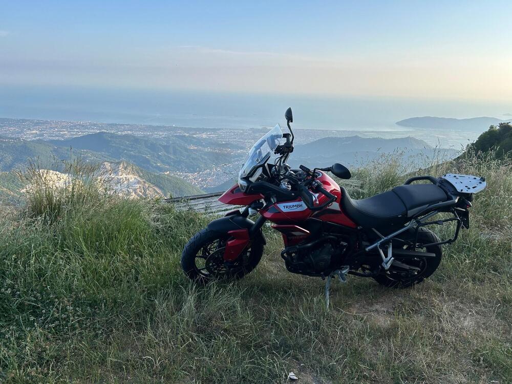 Triumph Tiger 900 GT Pro (2020 - 23)