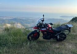 Triumph Tiger 900 GT Pro (2020 - 23) usata