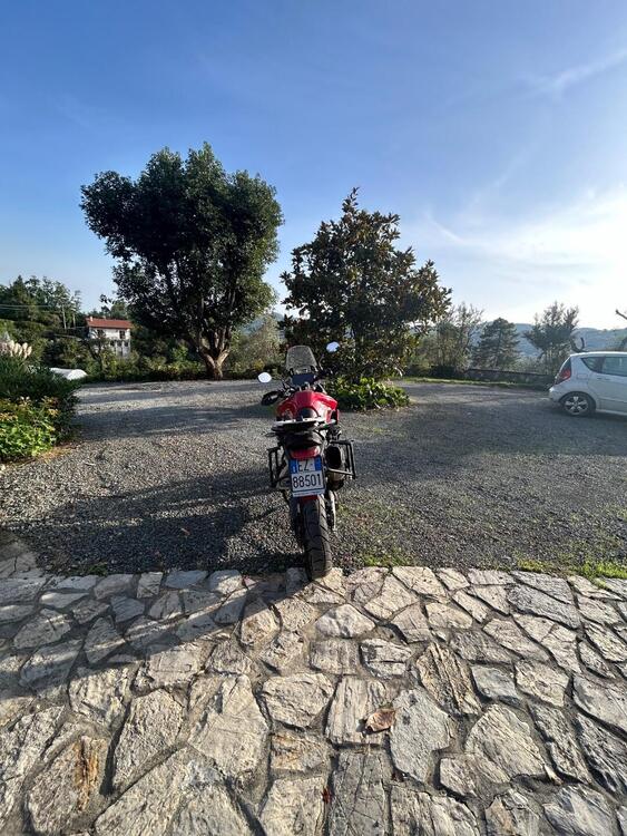 Triumph Tiger 900 GT Pro (2020 - 23) (5)