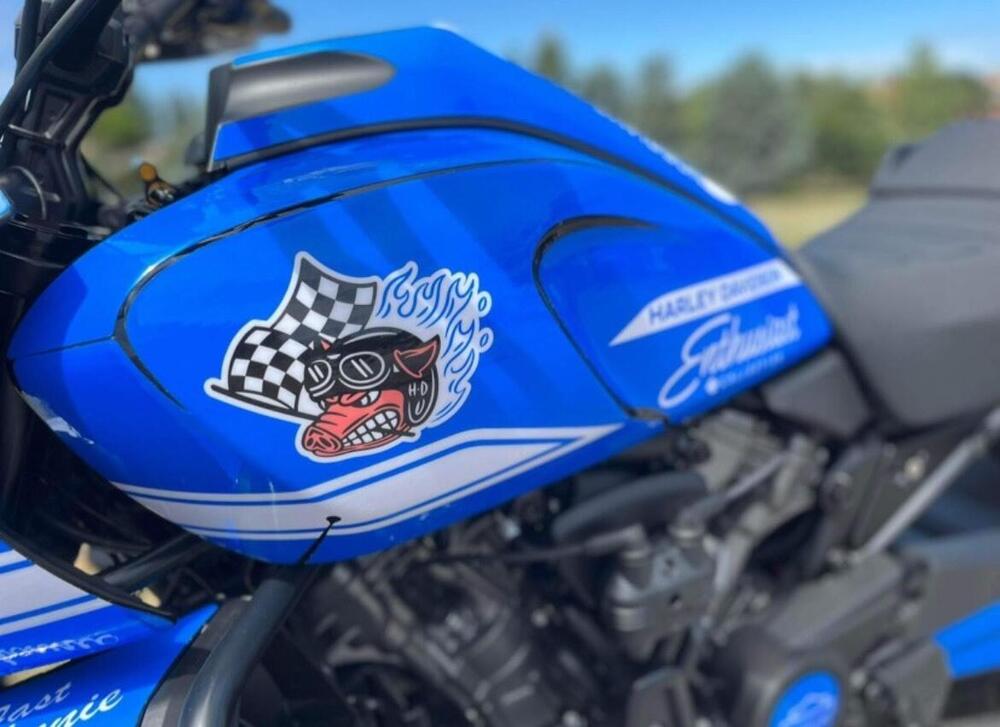 Harley-Davidson Pan America 1250 (2020 - 25) (3)