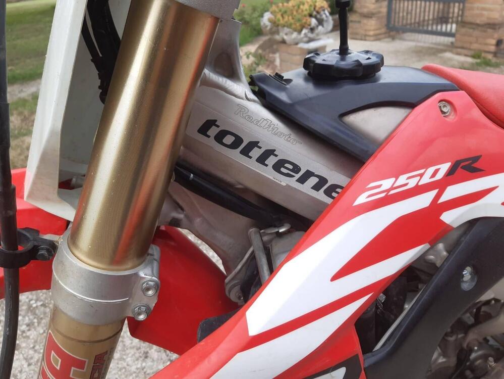 Honda CRF 250 R (2019) (2)